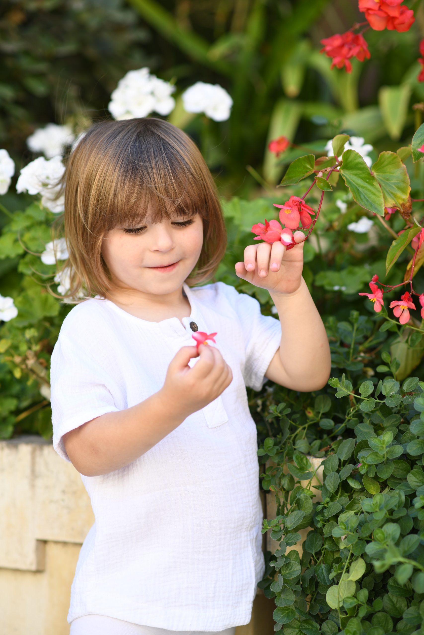 סורוצקין שרה מרים